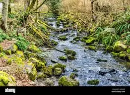 Ruisseau du Pré Au Moine