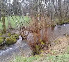 Ruisseau de la Goutte aux Saints