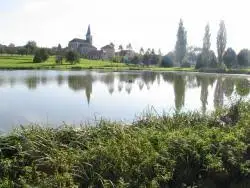 Etang de Noidans-le-Ferroux