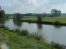 Etang N°5 de Fleurey-lès-Faverney