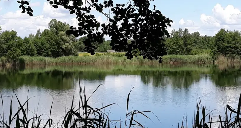 Etang de la Trinquotte