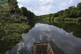 Plan d'eau de Louplande (grand)