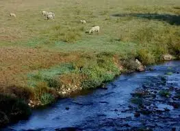 Rivière d'Anost ou de la Petite-Verrière