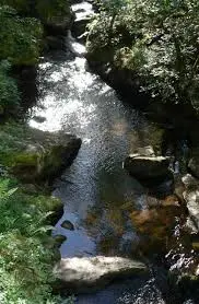 Ruisseau des Péchues