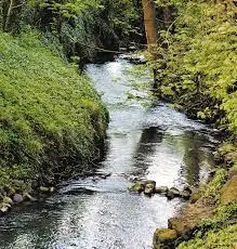 Ruisseau des Barangers