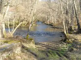 Ruisseau du Crot Morin