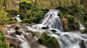 Ruisseau des Côtes des Ânes