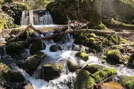 Ruisseau du Chardonnet