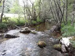 Ruisseau de la Cadettaz