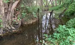 Ruisseau de la Chapelle