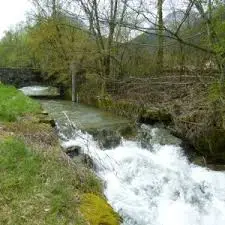 Ruisseau de Reuil