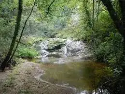 Ruisseau du Molard