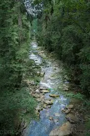 Ruisseau de l'Issarlaz