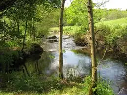 Ruisseau du Petit Moulin