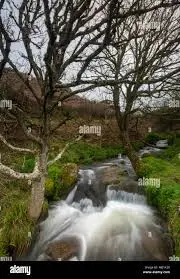 Ruisseau des Ridières