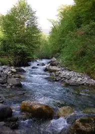 Ruisseau de Fontaine Lombarde