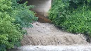 Torrent de la Louvière