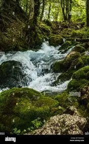 Torrent du Merderel