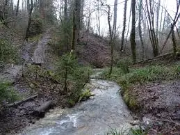 Ruisseau de Roche Noire