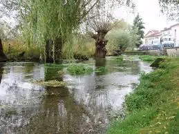 Ruisseau de la Meurette