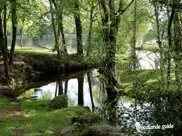 Ruisseau de l'Étang de Martenet