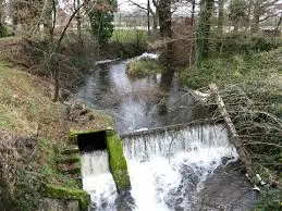 Ruisseau de l'Étang Charron