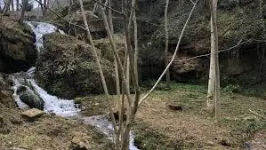 Torrent des Roches