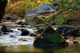 Torrent du Tépey