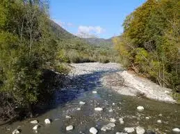 Torrent de Bellard