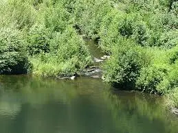 Torrent de la Combe