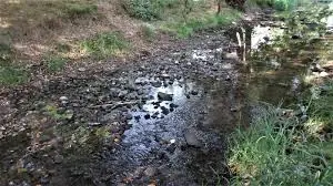 Torrent de la Lescherette