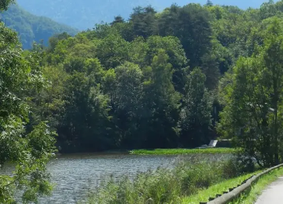 Lac de Charbonnières