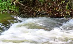 Ruisseau de Chez Béraud