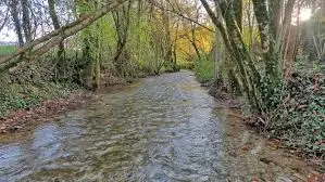 Ruisseau de Mont Cebon