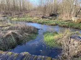 Ruisseau des Pointières