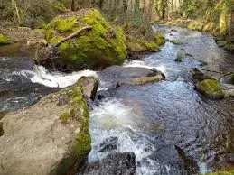 Ruisseau de l'Arbesserie