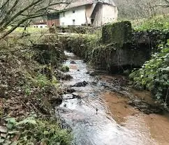 Ruisseau de Colombes