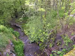 Ruisseau des Faverottes