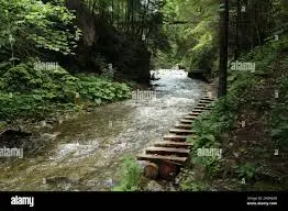 Ruisseau de la Côte Longue