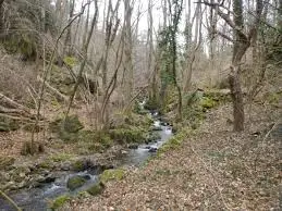 Ruisseau de la Scie