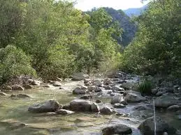 Ruisseau des Palles