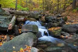 Ruisseau de la Gorge