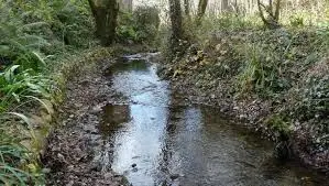 Ruisseau de la Colonne