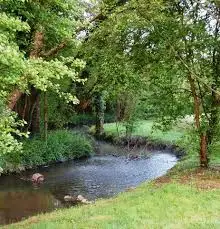 Ruisseau du Moulin de Fougère