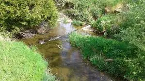 Ruisseau des Auvergnats