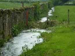 Ruisseau de Vauvienne