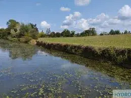 Coupures de Sornay