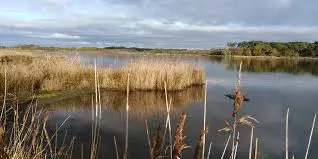 Etang de Saint-Jean