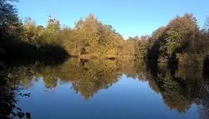 Etang de Baulieu