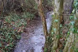 Fossé de l'Arsenne